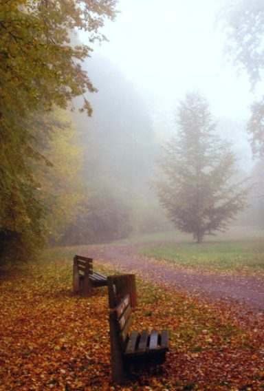 Zwei Bänke auf einem mit Herbstlaub bedeckten Weg in einem nebligen Park.
