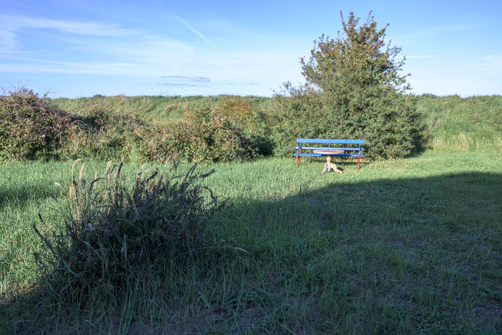 Blaue Bank in einer grünen Wiese mit Bäumen im Hintergrund unter klarem Himmel.