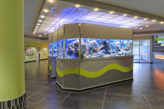 Aquarium in einem modernen Innenraum mit bunten Fischen und Korallen.