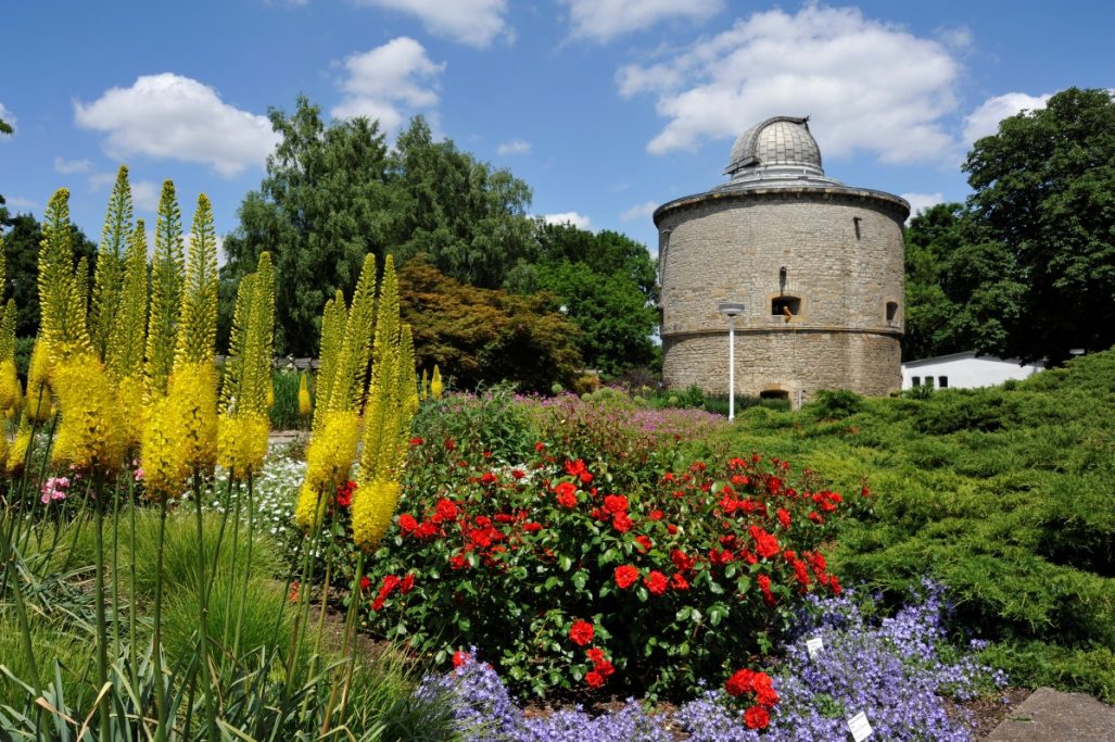 Eine alte, runde Mauer mit Pflanzen und bunten Blumen im Vordergrund. EGA Erfurt