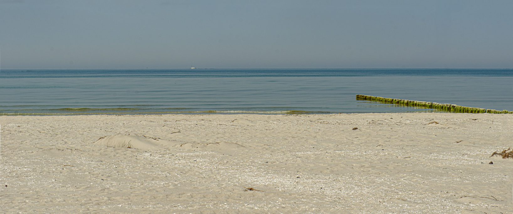 Ruhiger Sandstrand mit sanften Wellen und klarem Himmel im Hintergrund.