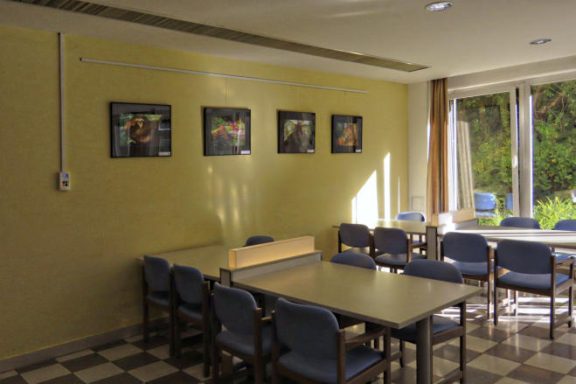 Heller Raum mit Tischen, Stühlen und Bildern an der Wand. Verdunkelung durch Fenster.