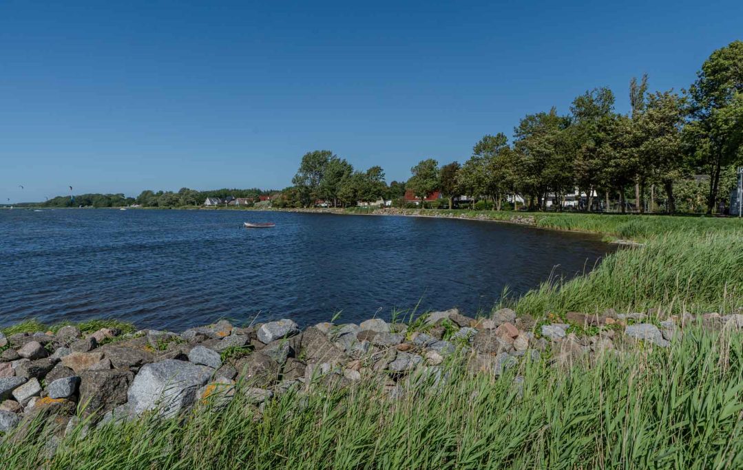 Uferbereich mit grünem Gras, ruhigem Wasser und Bäumen unter klarem blauen Himmel.